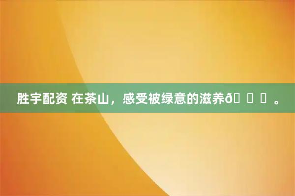胜宇配资 在茶山，感受被绿意的滋养🍃。